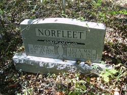 David Charles Norfleet 