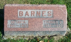Thomas Allen Barnes 