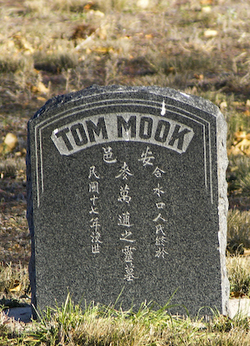 Tom Mook 
