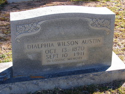 Dialphia <I>Wilson</I> Austin 