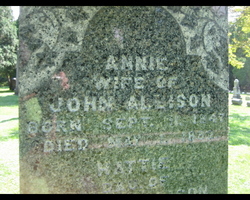 Annie <I>Johnson</I> Allison 