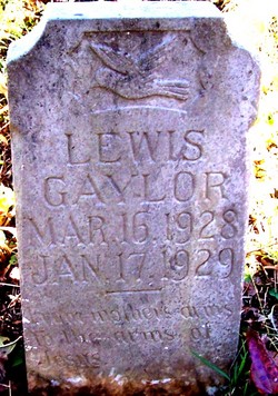 Lewis Gaylor 