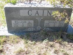 Sallie Elizabeth <I>Robertson</I> Cain 