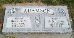 Andrew Norman Adamson 