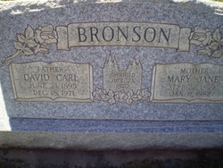 David Carl Bronson 