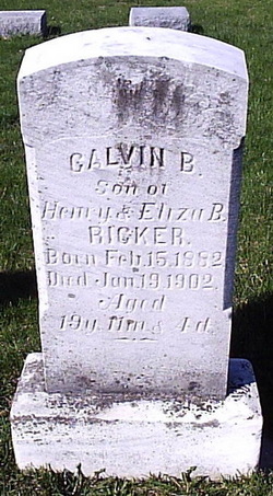 Calvin B Ricker 