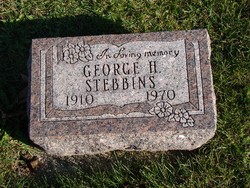 George H Stebbins 