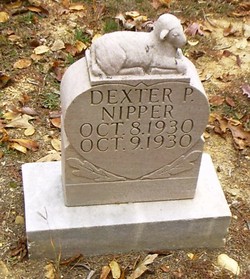 Dexter P Nipper 