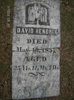 David S Hendricks 