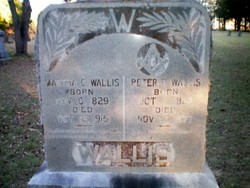 Martha Catherine <I>Wilson</I> Wallis 