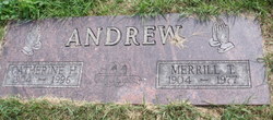 Merrill T Andrew 