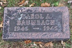 Carol Baumbach 