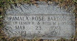 Pamela Rose Barton 