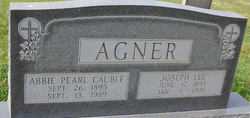 Joseph Lee Agner 