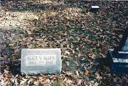 Alice V Allen 