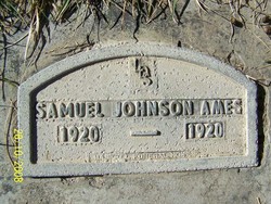 Samuel Johnson Ames 