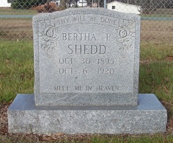 Bertha Lee <I>Plowman</I> Shedd 