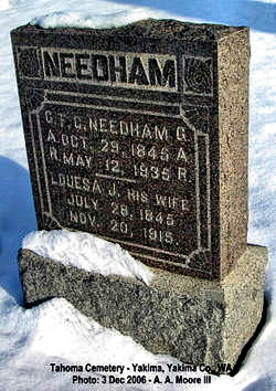 Pvt Ferdinand Columbus Needham 