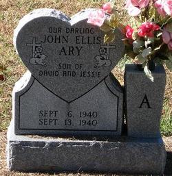 John Ellis Ary 