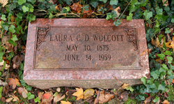 Laura <I>Chamberlin</I> Dimock Wolcott 