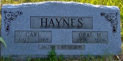 Carl Haynes 