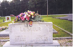 Samuel David LeSueur Jr.