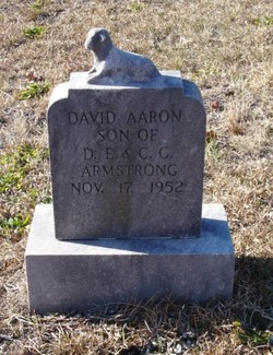 David Aaron Armstrong 