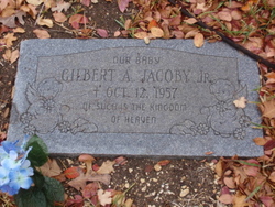 Gilbert A. Jacoby Jr.