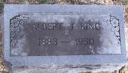 Albert J King 