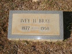 Ivey Ann <I>Hice</I> Bray 