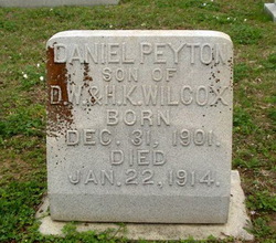 Daniel Peyton Wilcox 