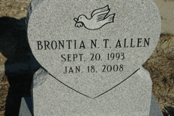 Brontia N. T. Allen 