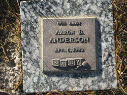 Aaron B. Anderson 