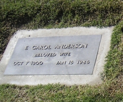 E Carol Anderson 