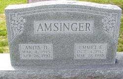 Anita D. <I>Davy</I> Amsinger 