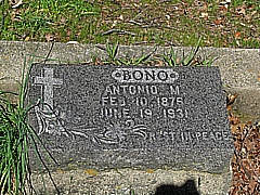 Antonio M Bono 
