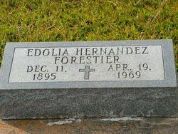Edolia <I>Hernandez</I> Forestier 