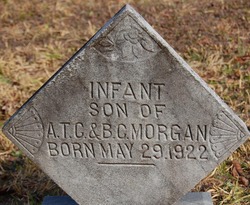 Infant Morgan 