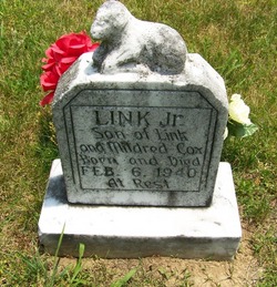 Link Cox Jr.