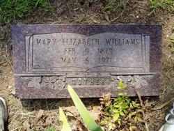 Mary Elizabeth <I>Perry</I> Williams 