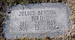 Julius Benson Bird 