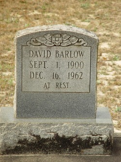 David Barlow 