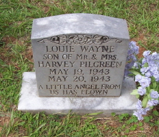Louie Wayne Pilgreen 