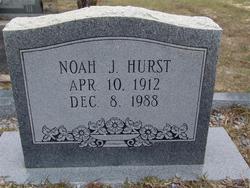 Noah J Hurst 