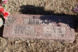 Clyde W. Briggs 