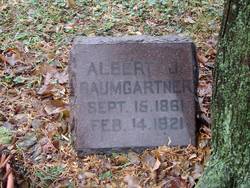 Albert Johann Baumgartner 