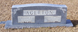 Georgia Ann <I>Ferguson</I> Agerton 