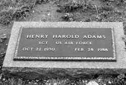 Sgt Henry Harold Adams 