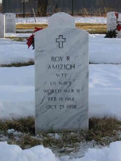 Roy R Amizich 