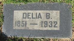 Delia E. <I>Babcock</I> Albrook 